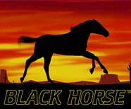 Black Horse