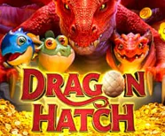 Dragon Hatch