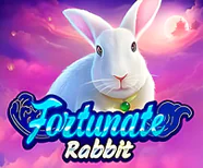 Fortunate Rabbit