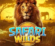 Safari Wilds