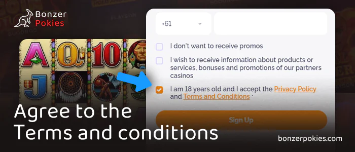 Give your consent to the terms and conditions of registration at the online casino